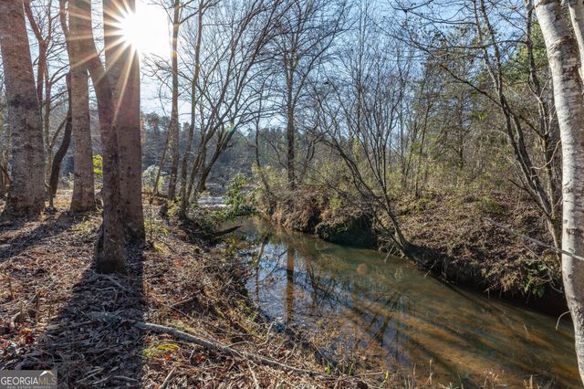 661 Toccoa River Forest, Mineral Bluff, GA 30559