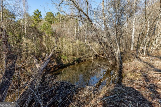 661 Toccoa River Forest, Mineral Bluff, GA 30559