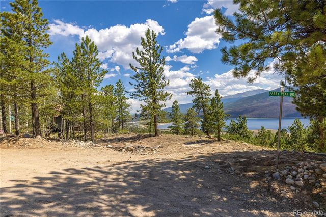 198 Parry Peak Drive, Twin Lakes, CO 81251