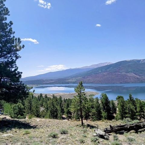 198 Parry Peak Drive, Twin Lakes, CO 81251