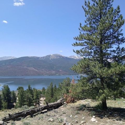 198 Parry Peak Drive, Twin Lakes, CO 81251