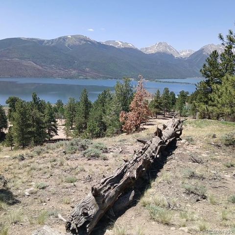 198 Parry Peak Drive, Twin Lakes, CO 81251