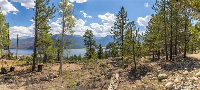 198 Parry Peak Drive, Twin Lakes, CO 81251