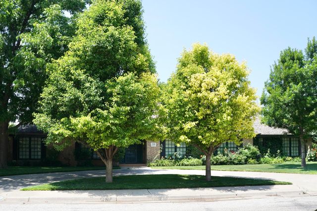 3508 DANBURY Drive, Amarillo, TX 79109