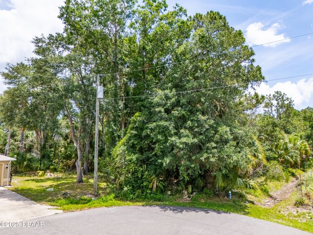 16 White Hawk Place, Palm Coast, FL 32164