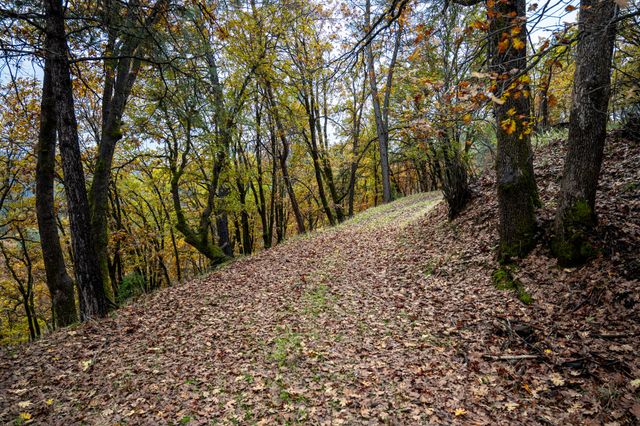 138 Sam Lee Drive, Weaverville, CA 96093