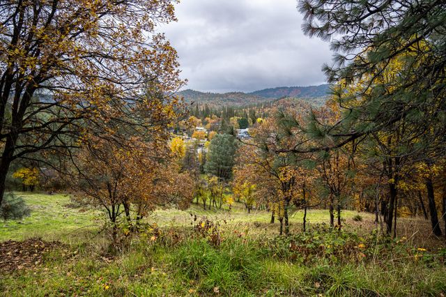 138 Sam Lee Drive, Weaverville, CA 96093