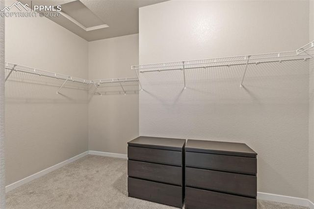 10471 Finn Drive, Colorado Springs, CO 80924