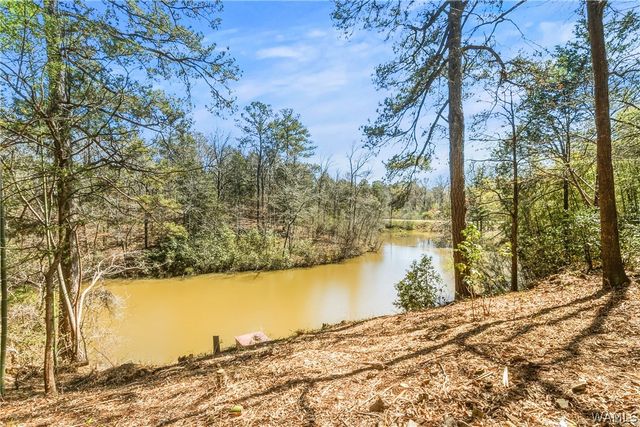 10852 Mallard Lake, Cottondale, AL 35453
