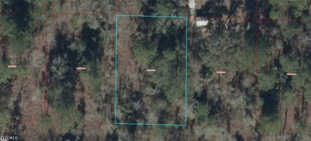 0930201700 NE 16TH LN, Williston, FL 32696