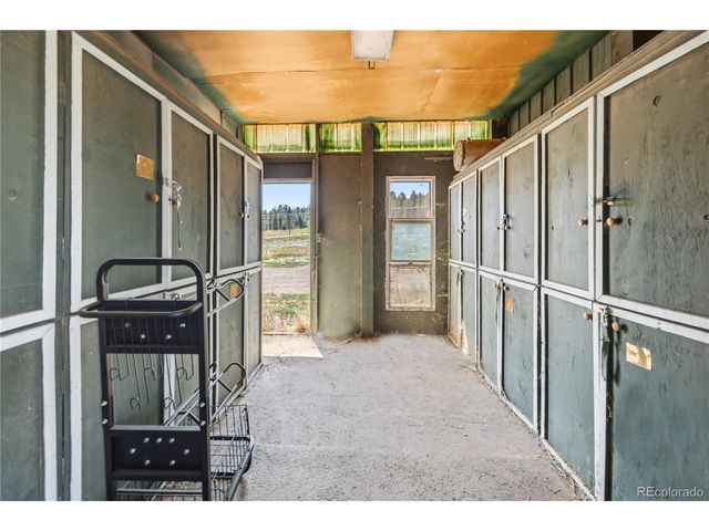23615 Oehlmann Park Rd, Conifer, CO 80433