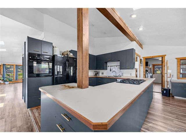 23615 Oehlmann Park Rd, Conifer, CO 80433