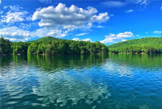 20 Sconti Ridge 402, Jasper, GA 30143