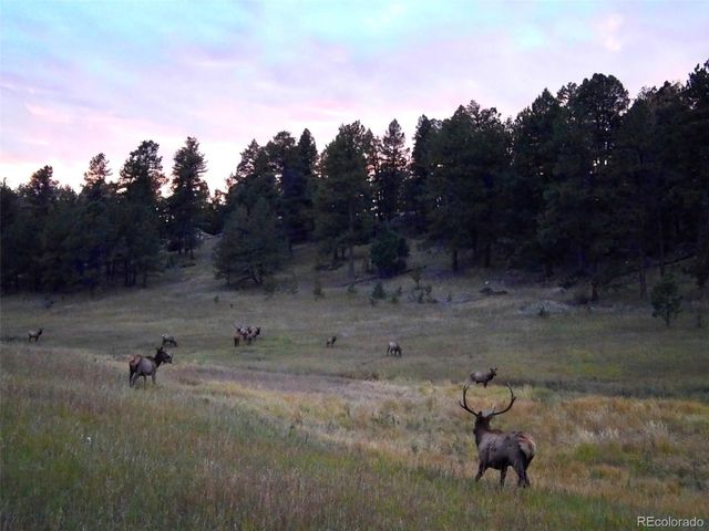 12434 S US Hwy 285, Conifer, CO 80433