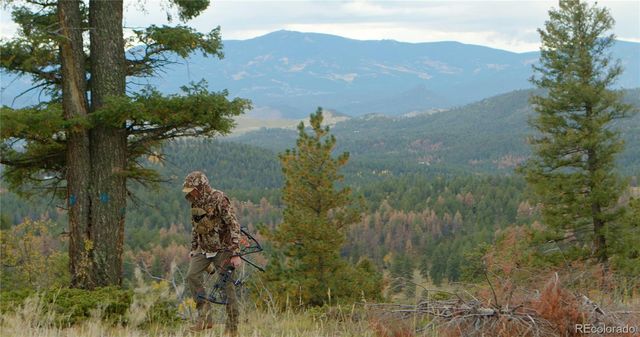 12434 S US Hwy 285, Conifer, CO 80433