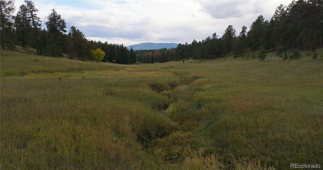 12434 S US Hwy 285, Conifer, CO 80433