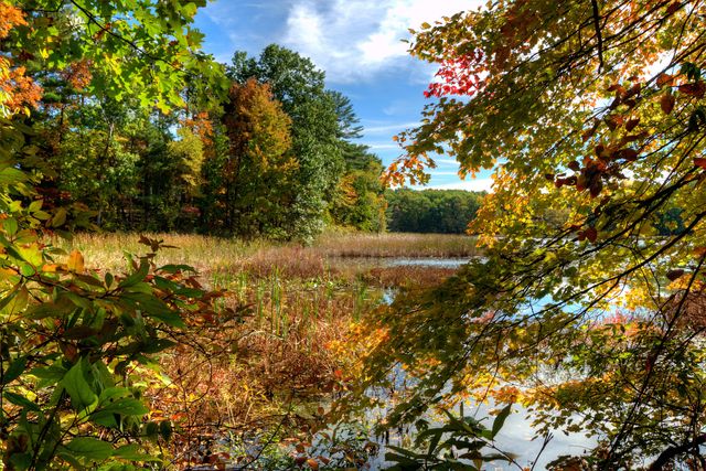 6962 Railway Court, Ross Twp, MI 49083