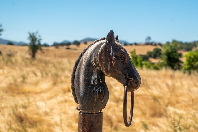 3206 Gillam Rd, Valley Springs, CA 95252