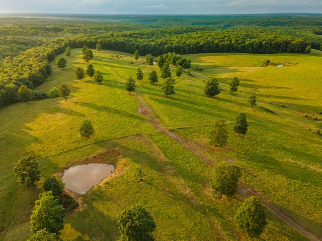331 Christopher Ln, Lawrenceburg, TN 38464