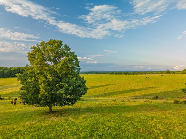 331 Christopher Ln, Lawrenceburg, TN 38464