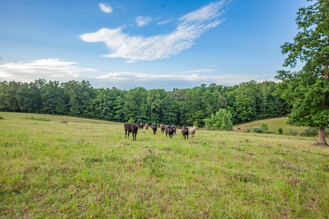 331 Christopher Ln, Lawrenceburg, TN 38464