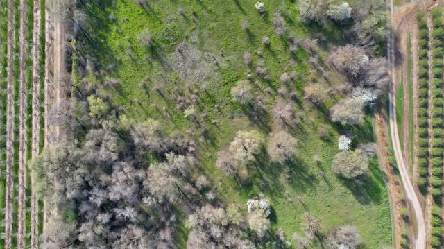 9631 Schroeder Rd, Live Oak, CA 95953