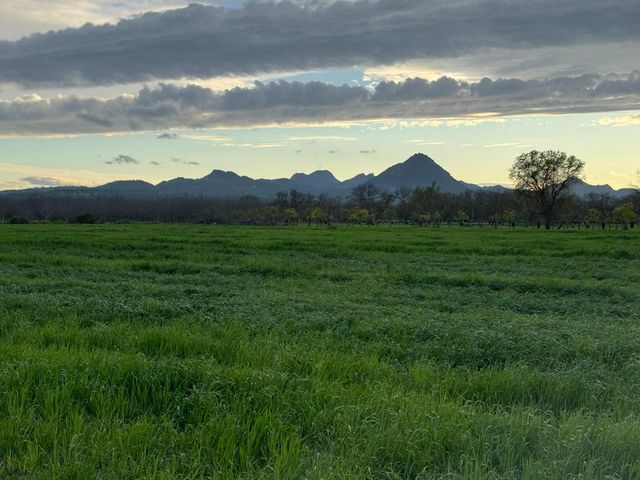 9631 Schroeder Rd, Live Oak, CA 95953