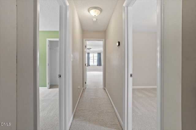 1116 Holland Ridge Drive, Raleigh, NC 27603