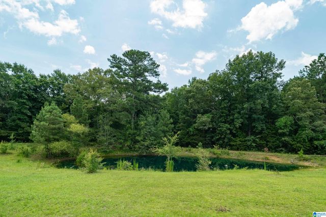 2304 DRIVING RANGE ROAD, Cropwell, AL 35054