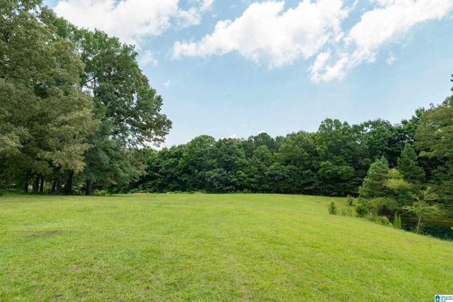 2304 DRIVING RANGE ROAD, Cropwell, AL 35054