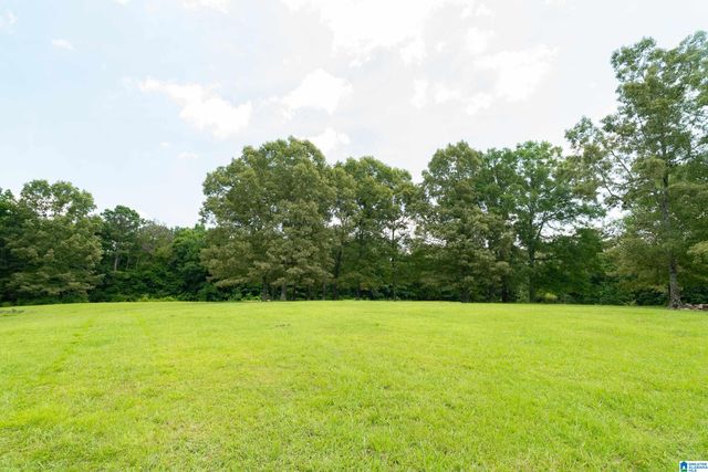 2304 DRIVING RANGE ROAD, Cropwell, AL 35054