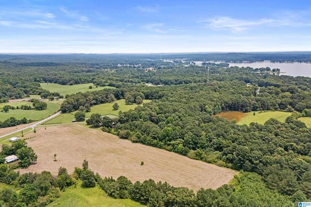 2304 DRIVING RANGE ROAD, Cropwell, AL 35054