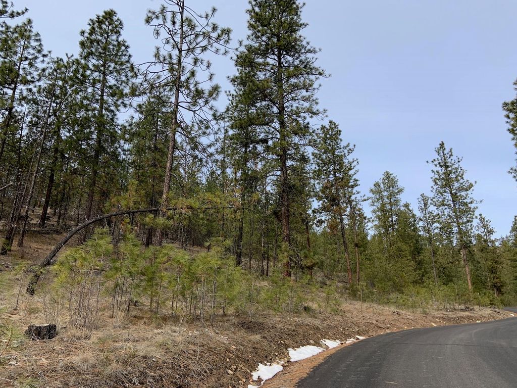 Wapiti 3 Bob White Ln, Davenport, WA 99122