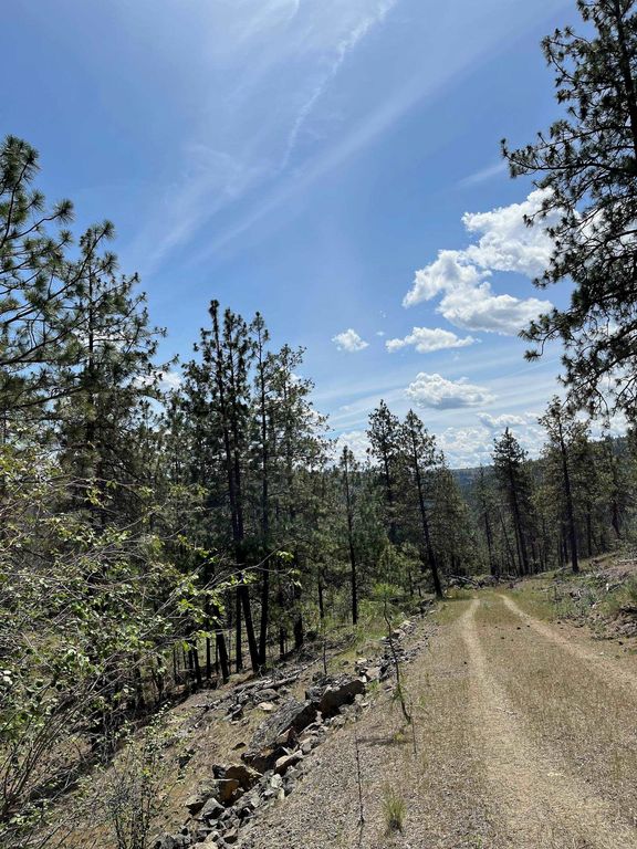 Wapiti 3 Bob White Ln, Davenport, WA 99122 photo 2