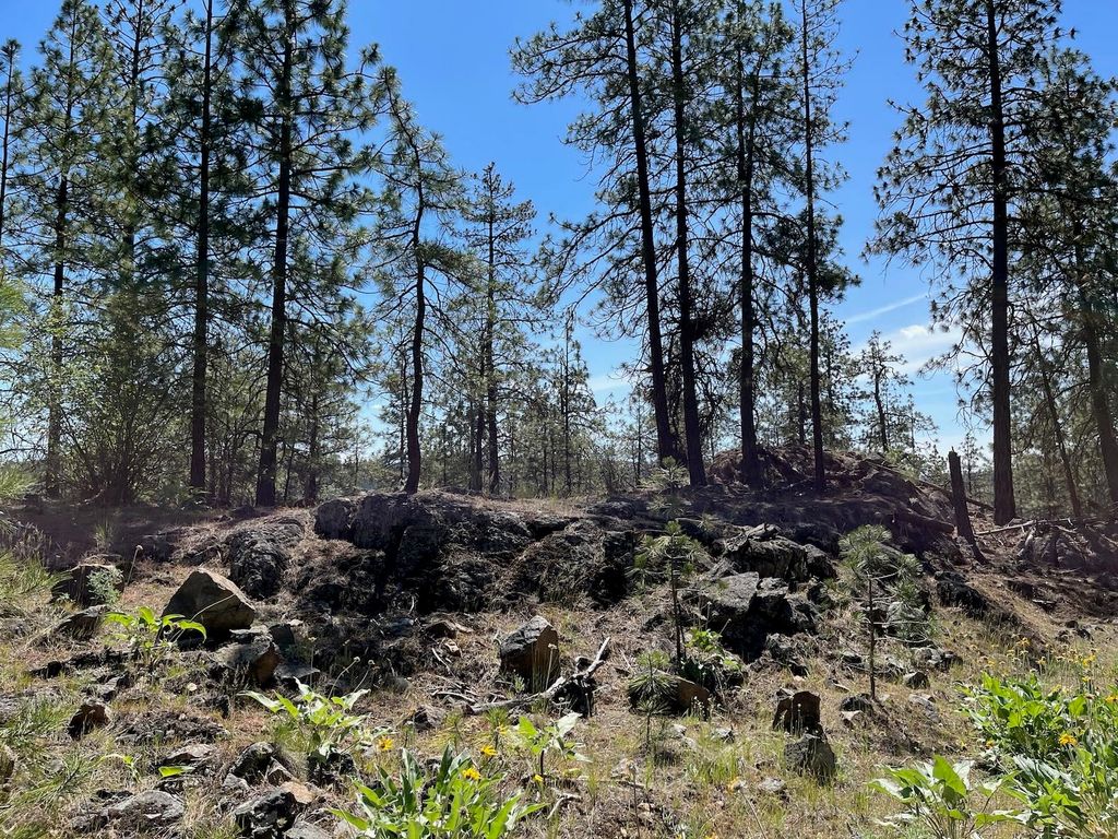 Wapiti 3 Bob White Ln, Davenport, WA 99122 photo 11