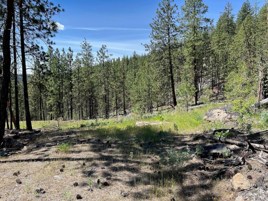 Wapiti 3 Bob White Ln, Davenport, WA 99122 photo 13