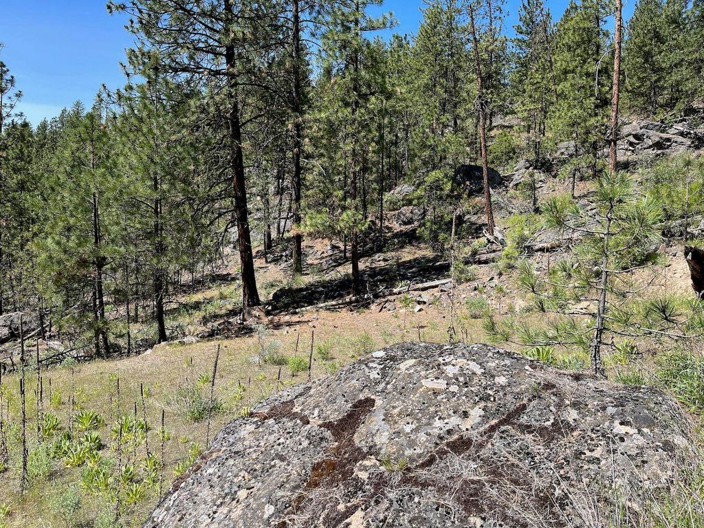 Wapiti 3 Bob White Ln, Davenport, WA 99122 photo 14