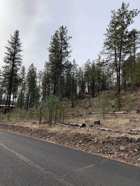 Wapiti 3 Bob White Ln, Davenport, WA 99122 photo 16