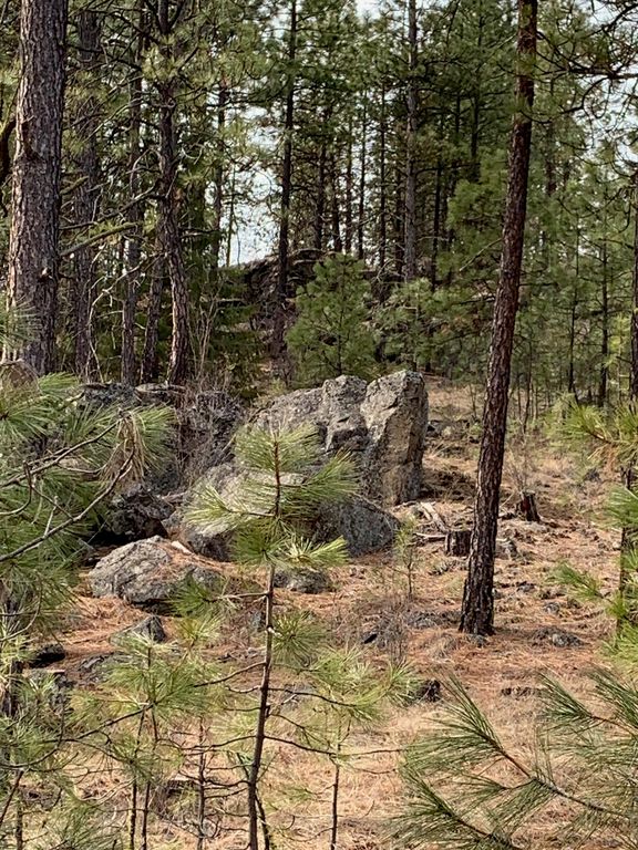 Wapiti 3 Bob White Ln, Davenport, WA 99122 photo 17