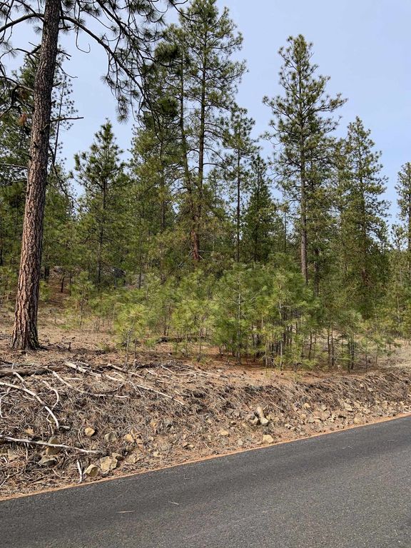 Wapiti 3 Bob White Ln, Davenport, WA 99122 photo 18