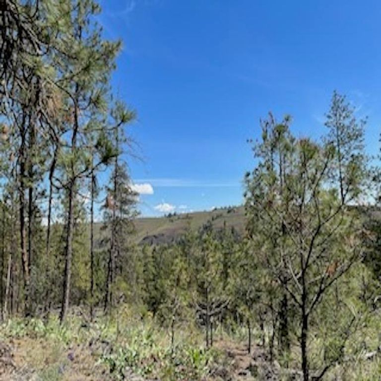 Wapiti 3 Bob White Ln, Davenport, WA 99122 photo 19