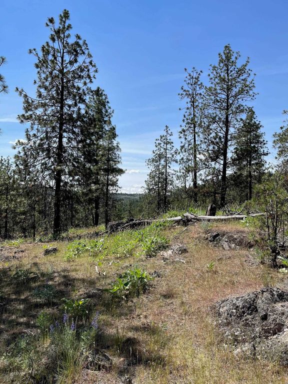 Wapiti 3 Bob White Ln, Davenport, WA 99122 photo 3