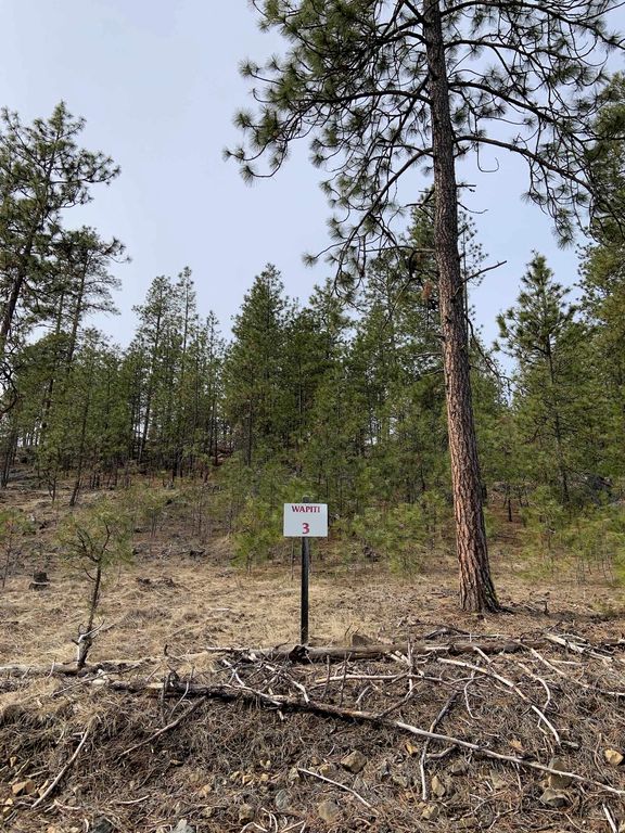 Wapiti 3 Bob White Ln, Davenport, WA 99122 photo 21