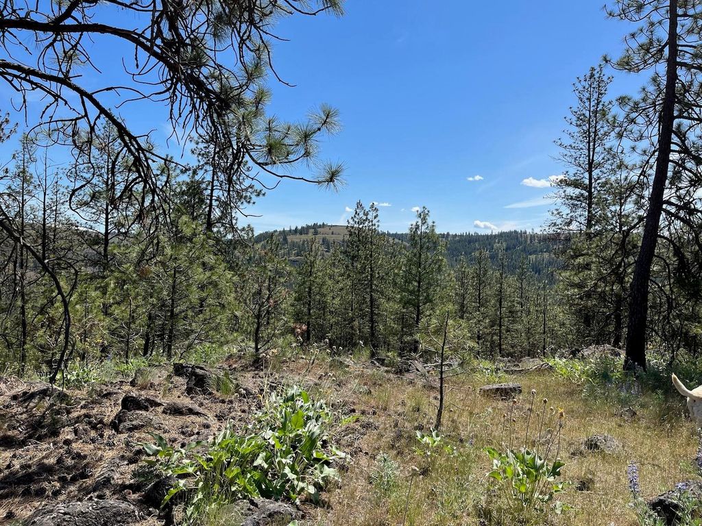 Wapiti 3 Bob White Ln, Davenport, WA 99122 photo 5