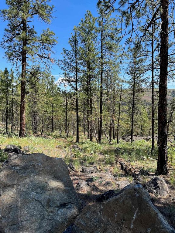 Wapiti 3 Bob White Ln, Davenport, WA 99122 photo 6