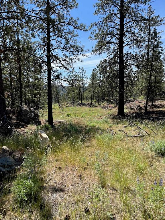 Wapiti 3 Bob White Ln, Davenport, WA 99122 photo 7