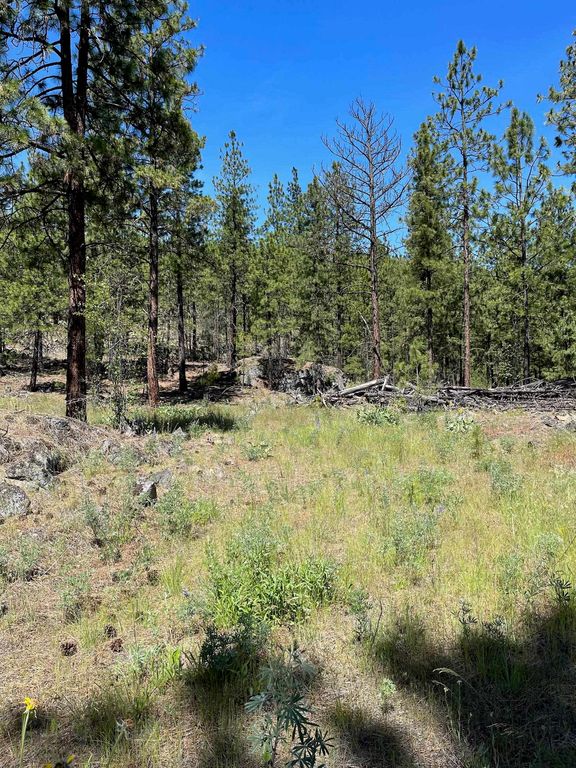 Wapiti 3 Bob White Ln, Davenport, WA 99122 photo 8