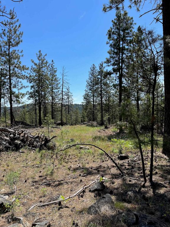 Wapiti 3 Bob White Ln, Davenport, WA 99122 photo 9