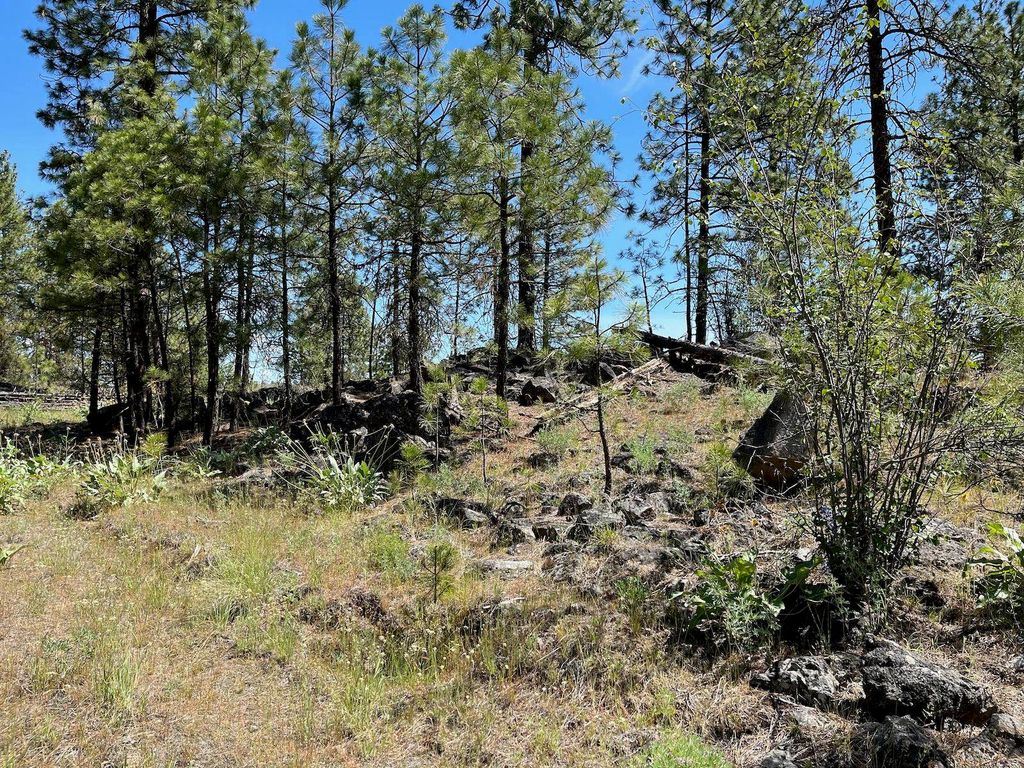 Wapiti 3 Bob White Ln, Davenport, WA 99122 photo 10