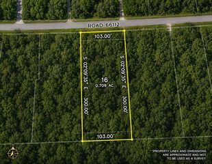 4560 Road 66112, Dayton, TX 77535